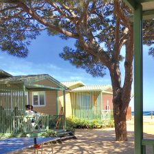 English Week RESERVA